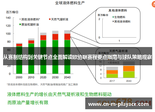 从赛制结构到关键节点全面解读欧协联赛程要点指南与球队策略观察
